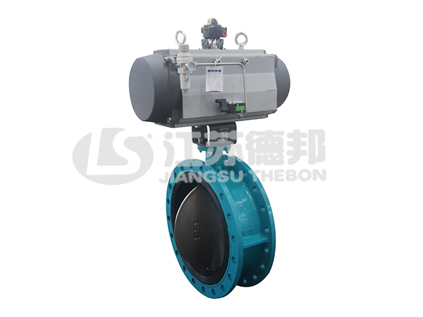 2211R高性能襯膠蝶閥